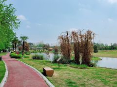 -夏河溪乡野公园