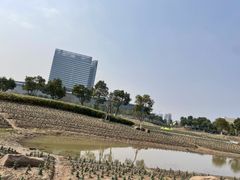 -春花秋色城市公园