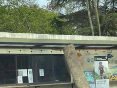 -上海美帆帆船露营基地