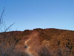 -北京西山国家森林公园