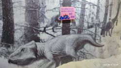 -恐龙探索乐园(磁器口店)