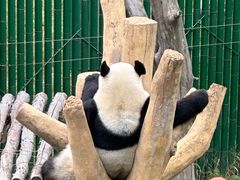 -沈阳森林动物园