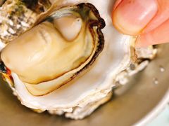 -鲜螺湾(鹏欣丽都店)