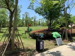 -上海海湾国家森林公园