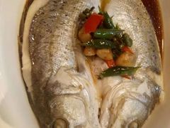 -绿茶餐厅(昌平悦荟店)