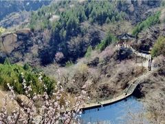 -北京凤凰岭