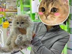 -唐小姐の猫狗洗护·购宠旗舰店(周浦万达店)