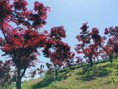 -石塘人家