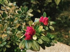 -雅和生态渔庄·宜城锅巴饭(龙灵山公园店)