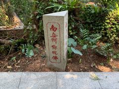 -深圳仙湖植物园