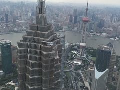 -上海柏悦酒店·世纪100牛排馆
