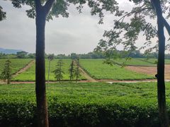 -宜兴龙背山森林公园