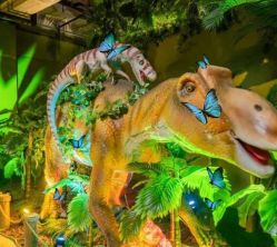 -恐龙探索乐园(磁器口店)