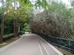 -苏州河梦清园环保主题公园