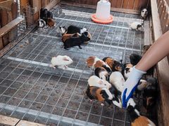 -珠海海泉湾神秘岛亲子乐园