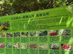 -崂山九水游览区