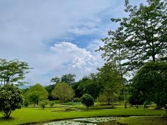 -中国科学院西双版纳热带植物园