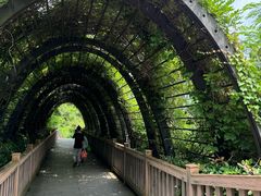 -鼓岭旅游度假区