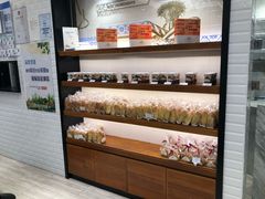 -莉莲蛋挞(大华悦沢书店)