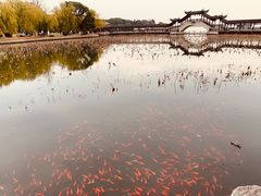 -观桥阁(锦溪店)