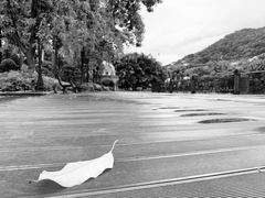 -广州凤凰城酒店-维也纳西餐厅