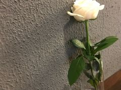 -1861意大利餐厅(文化广场店)