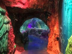 -沈阳海洋探索中心