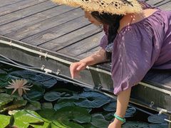 -白鹭湾湿地公园