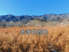 -北京鹫峰国家森林公园