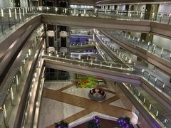 -南京禄口机场雅高铂尔曼大酒店