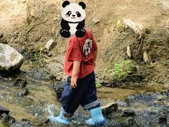 -白水寺森林公园