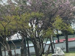 -怡咖啡·自助餐·西安香格里拉