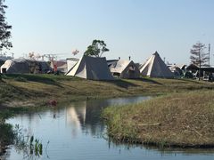 -春花秋色城市公园