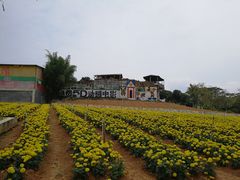 -松山湖梦幻百花洲