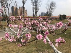 -府河摄影公园