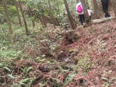 -白云源风景区