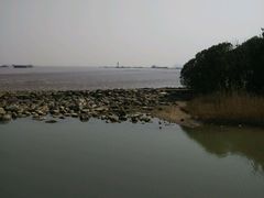 -吴淞炮台湾湿地森林公园烧烤区