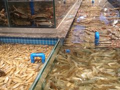 -一方渔歌蒸汽海鲜自助(文化路万达广场店)