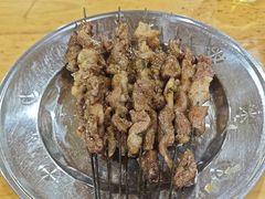 烤羊肉串-张四烤羊肉(西藏自治区拉萨市丹杰林巷店)