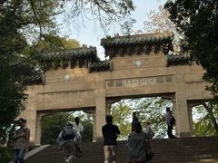 -灵谷景区