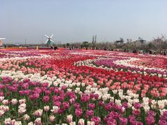 -南通鲜花小镇
