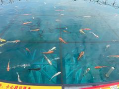 -牛鱼嘴原始生态风景区