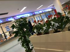 -上海财经大学-新食堂