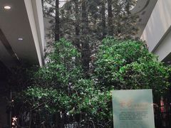 -中国湿地博物馆