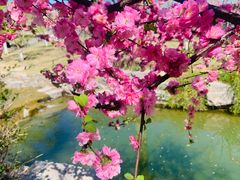 -三里河公园