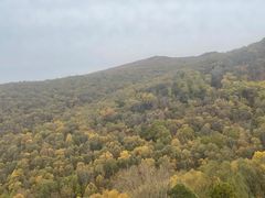 -灵山