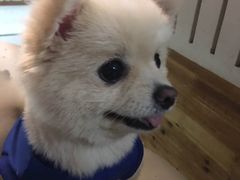 -樱花国际日语(徐家汇中心)