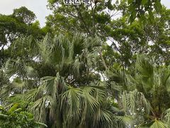 -深圳野生动物园
