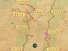 -南山植物园