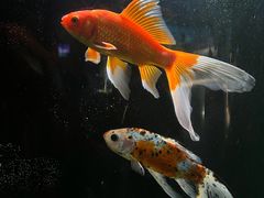 -欢乐海岸海洋奇梦馆
